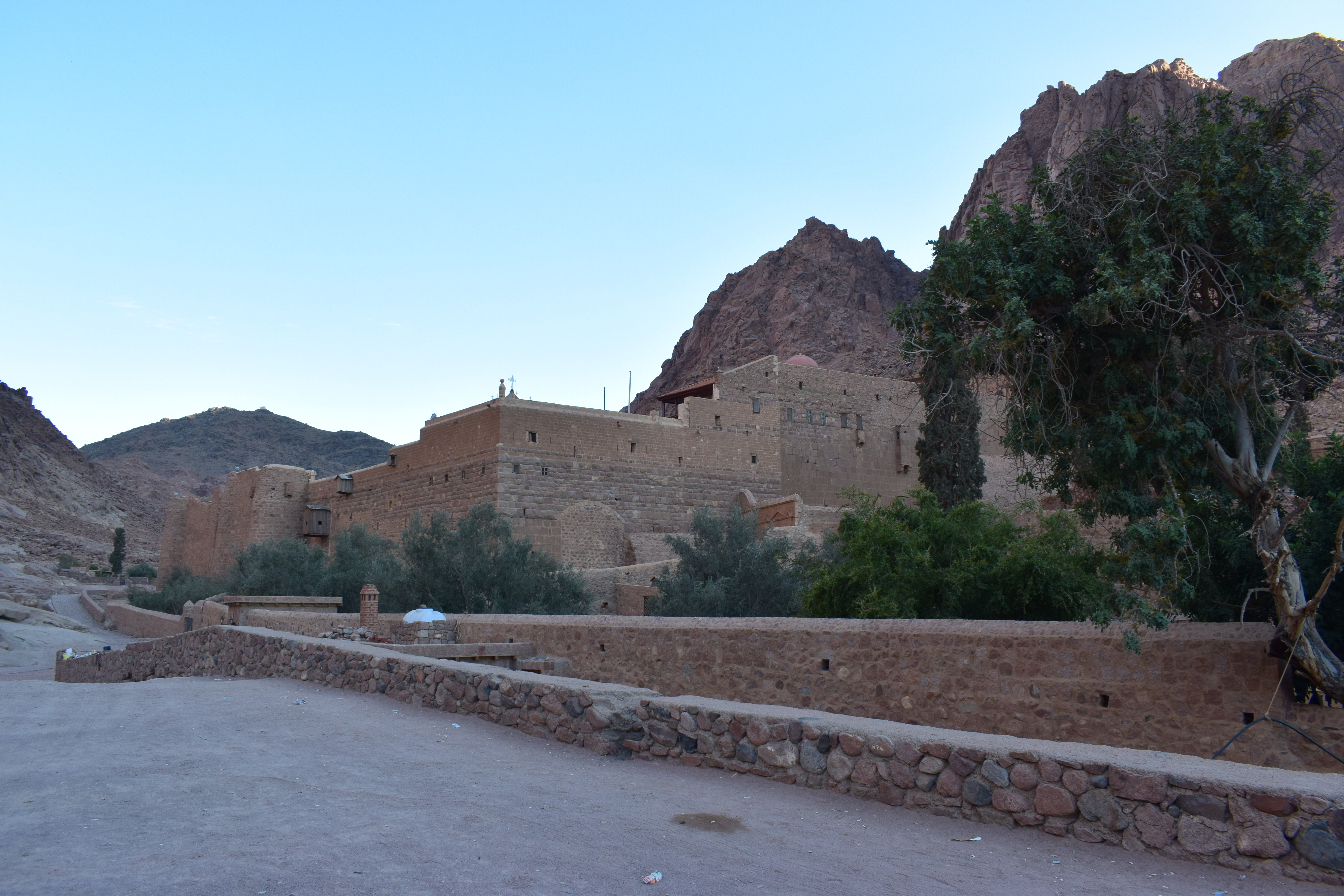 DSC_3165.JPG
