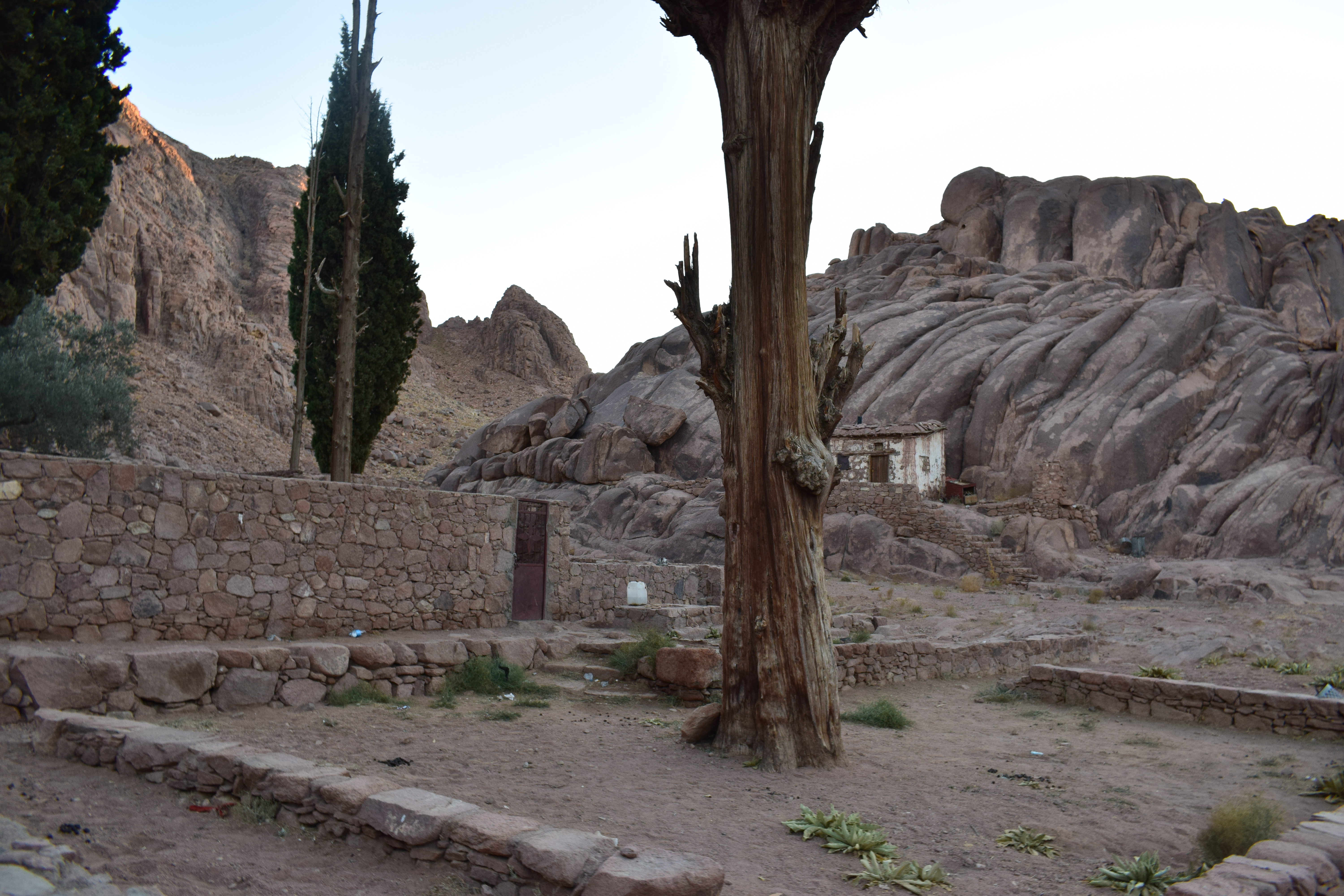 DSC_3211.JPG