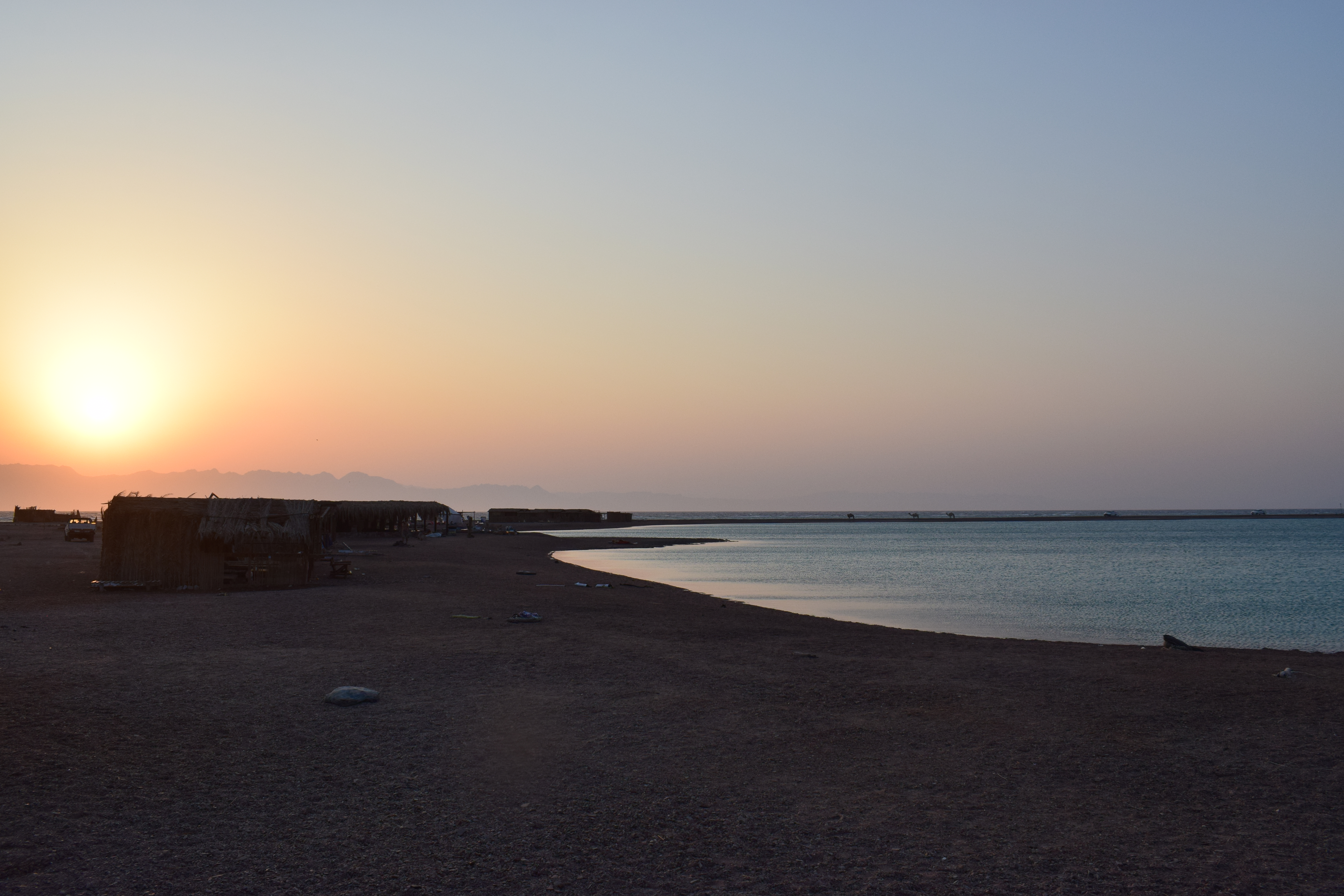 DSC_8854.JPG