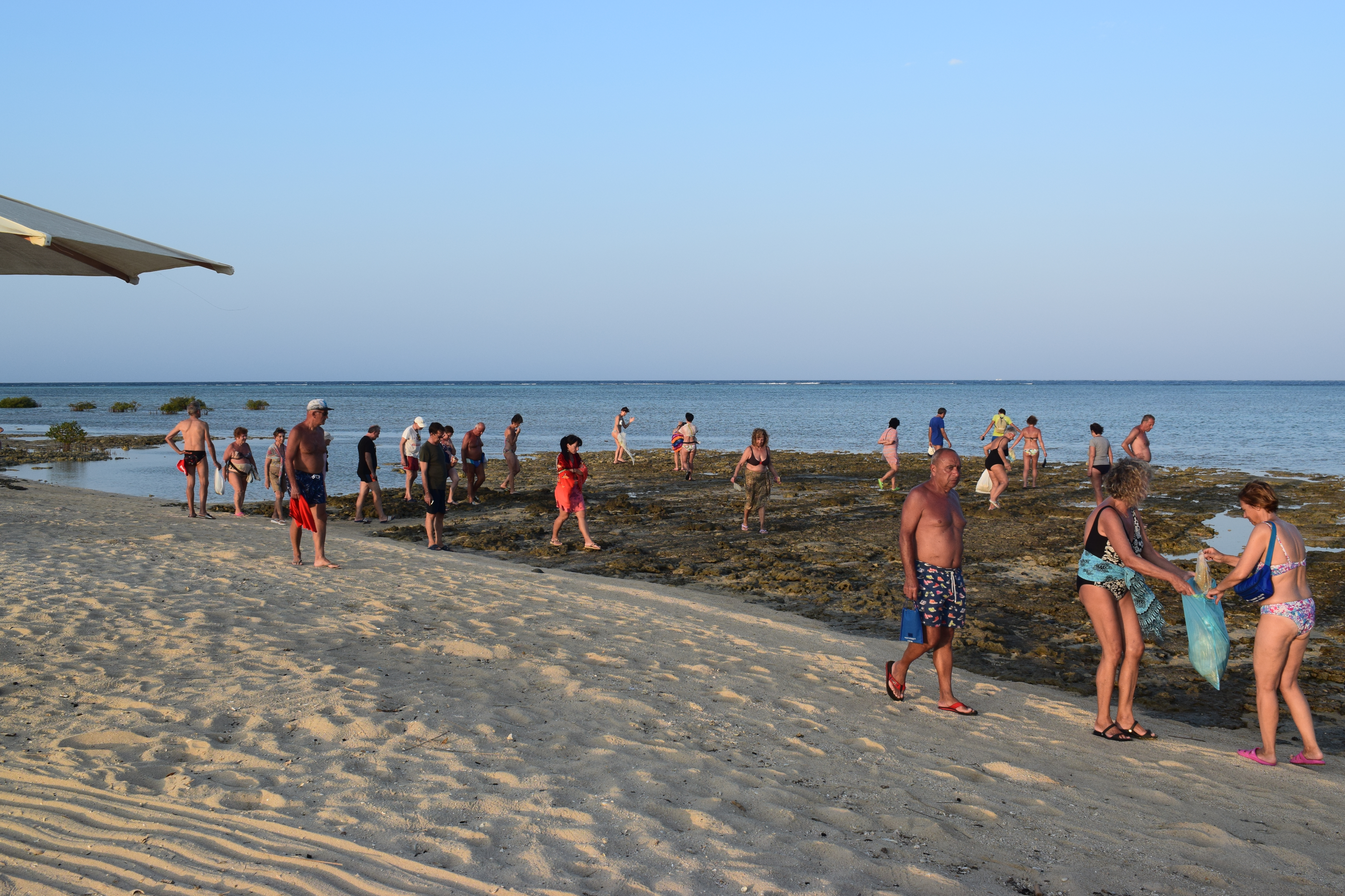 DSC_9428.JPG
