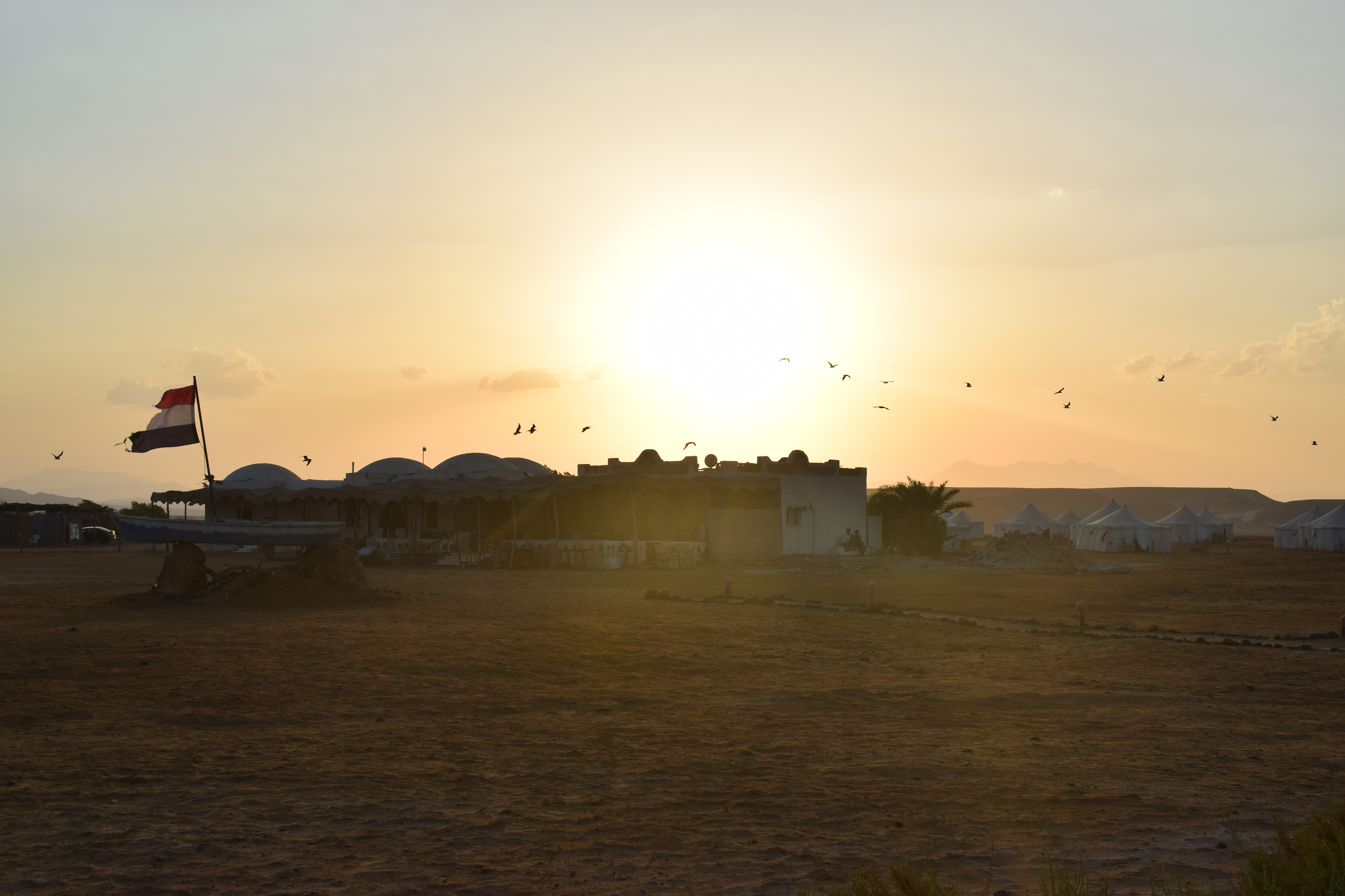 DSC_9430.JPG