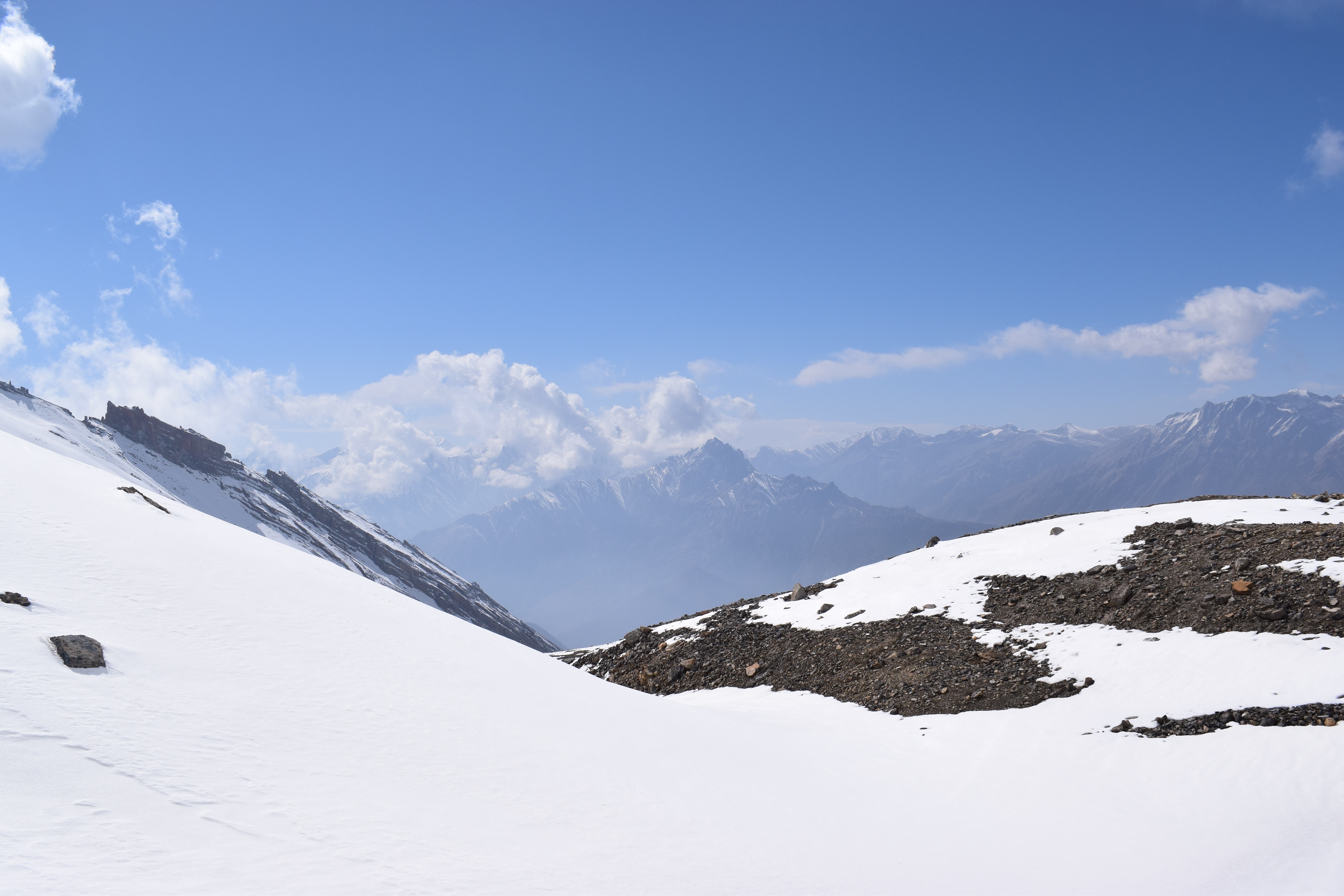 DSC_7844.jpg