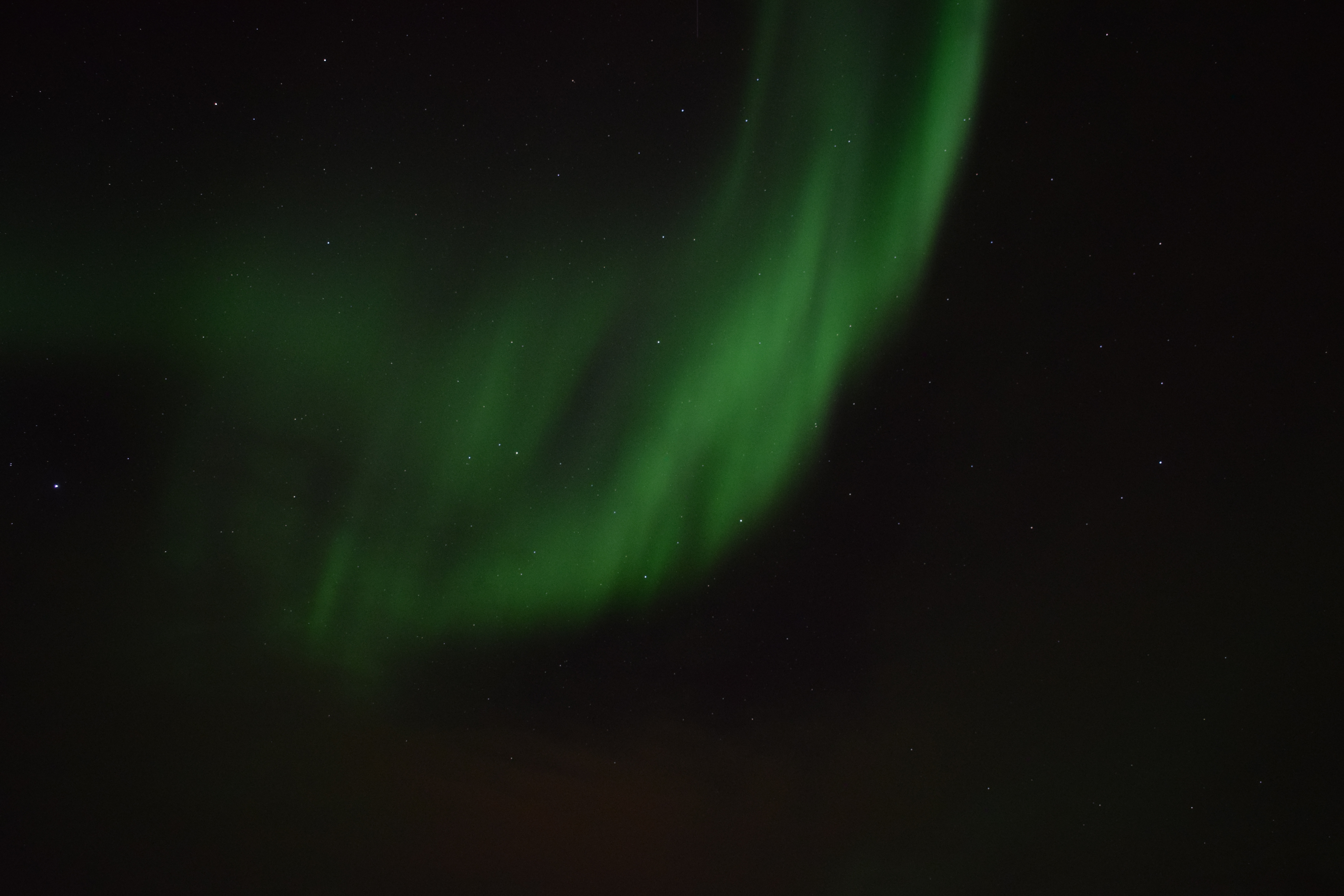 DSC_0776