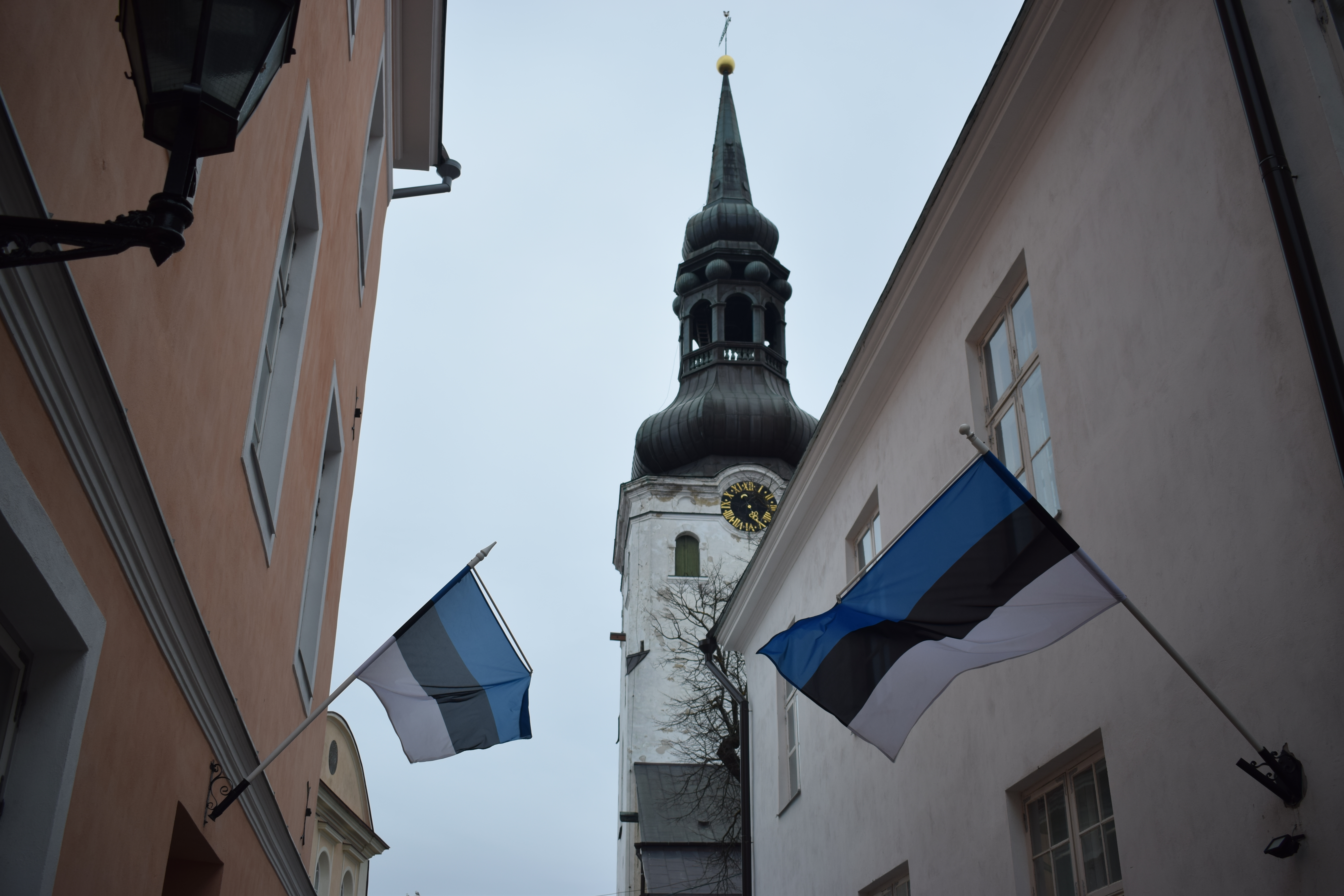 DSC_0937