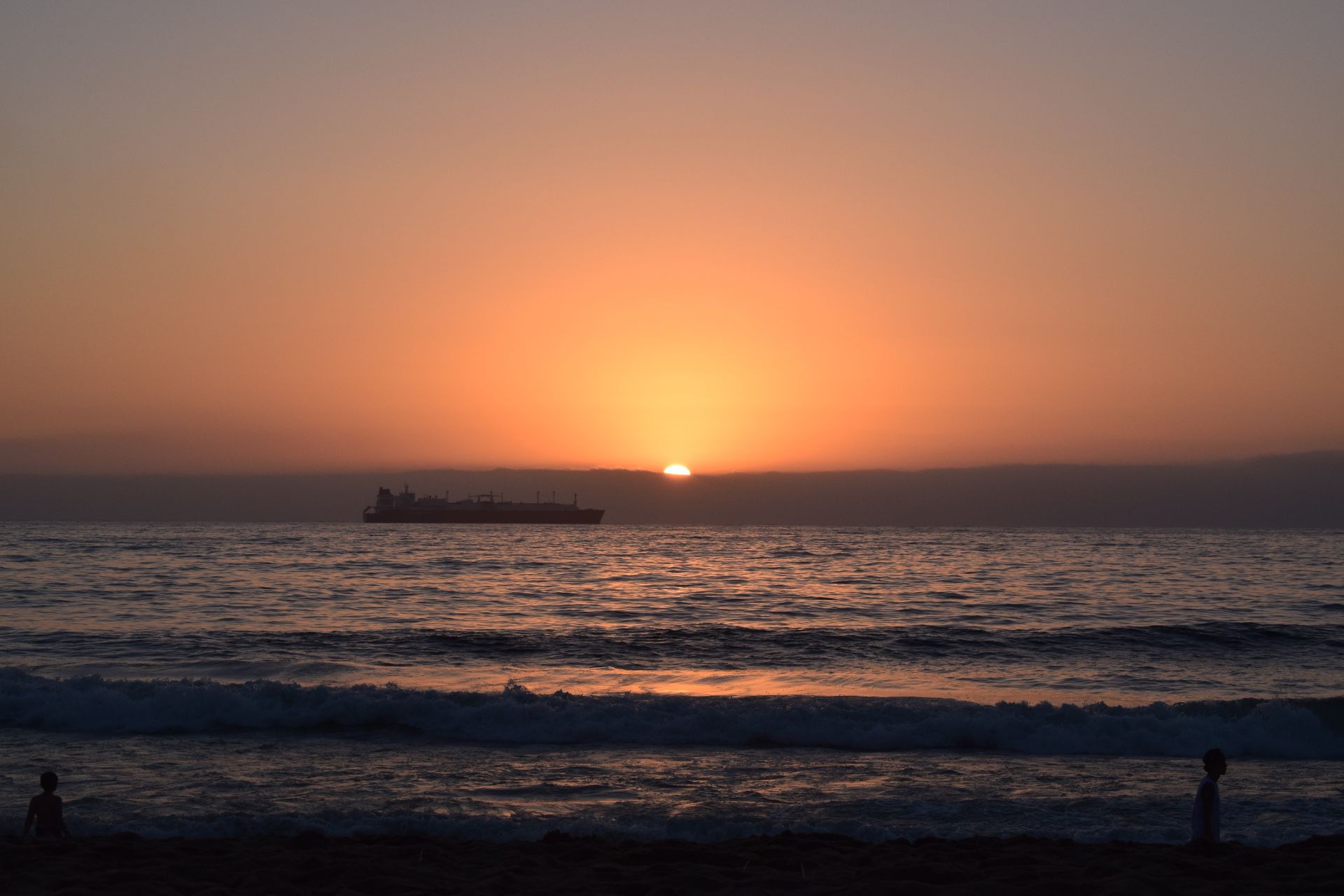 DSC_0699