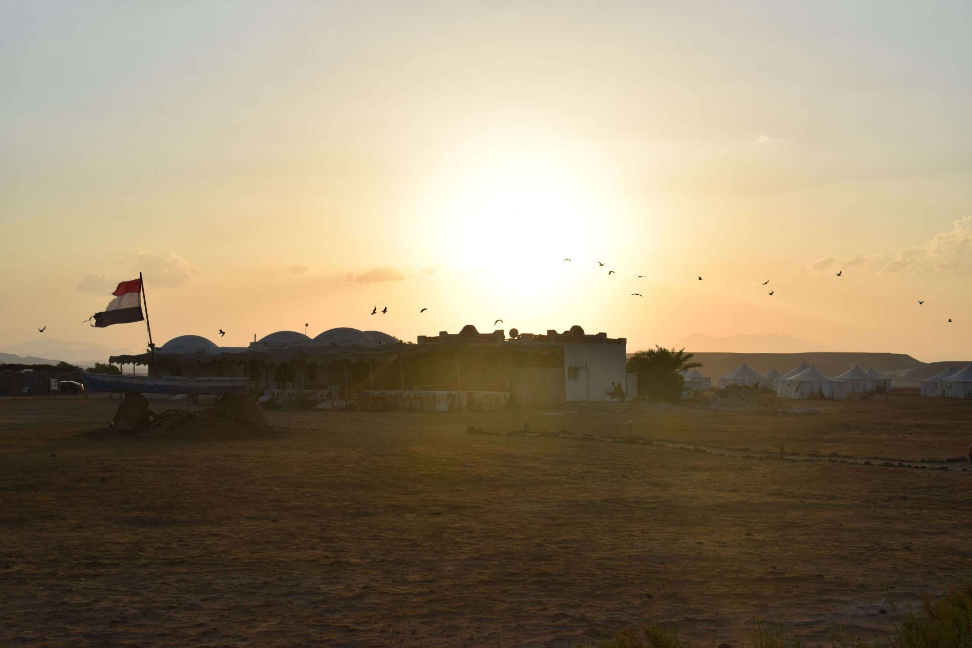 DSC_9430.JPG